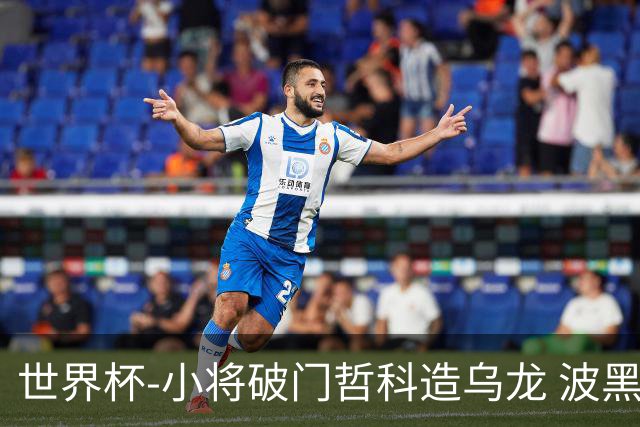 世界杯-小将破门哲科造乌龙 波黑3-1卡塔尔小组第三
