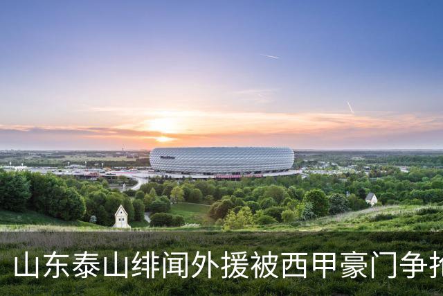 山东泰山绯闻外援被西甲豪门争抢，夏窗换外援的希望又落空