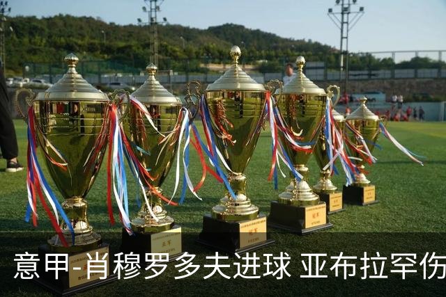 意甲-肖穆罗多夫进球 亚布拉罕伤退 罗马主场平