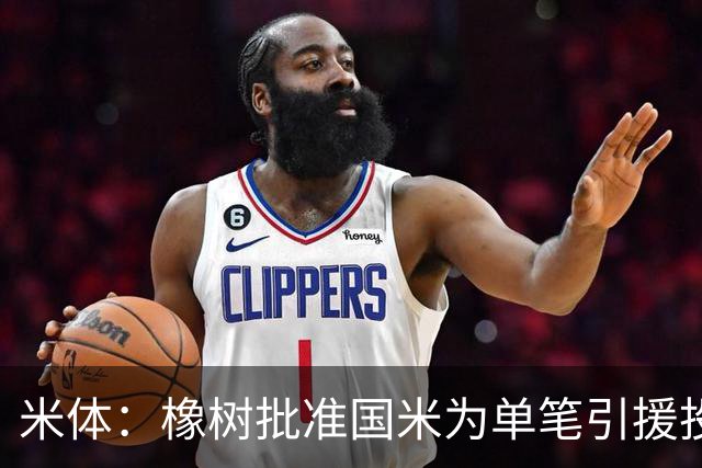 米体：橡树批准国米为单笔引援投入5000万欧，目标是帕莱斯特拉